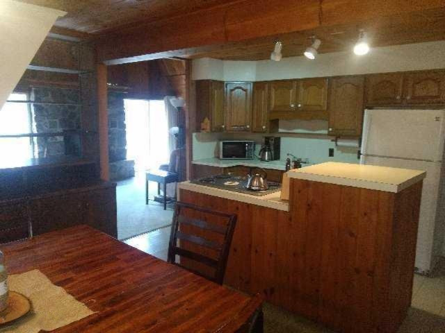9102 Wilke Road Fremont, MI 49412 - Photo 3 of 21 download (9)
