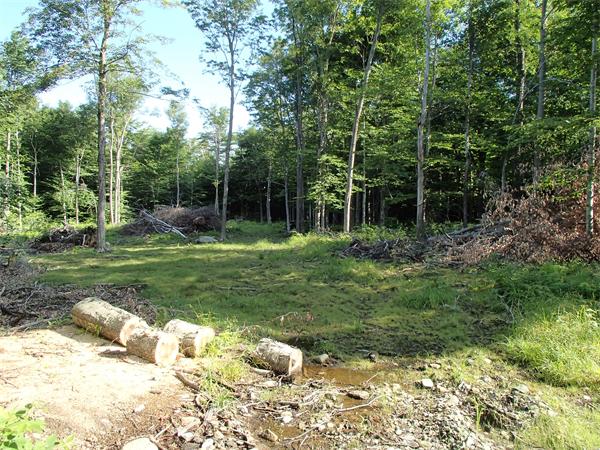 Lot 11 Ashfield Road Hawley, MA 01339 - Photo 9 of 17 Gallery Image 9