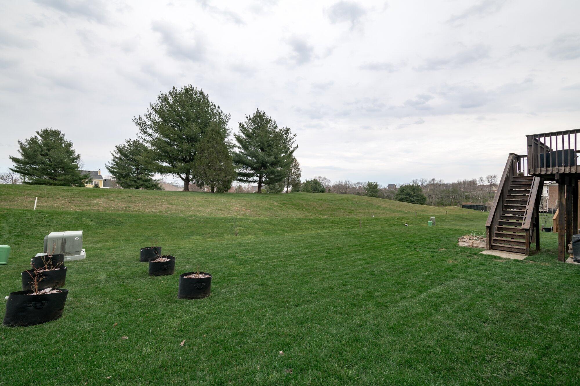 125 Inverness Drive Georgetown, KY 40324 - Photo 45 of 49 125_inverness_dr_2_22_24-046.jpg-SMALL