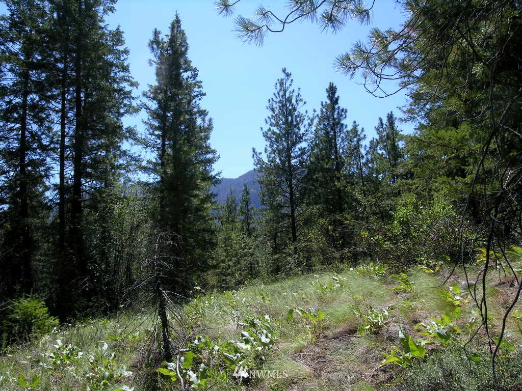 15 Homestead Road Winthrop, WA 98862 - Photo 1 of 12