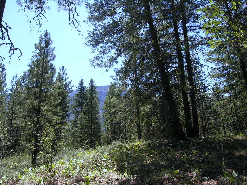 15 Homestead Road Winthrop, WA 98862 - Photo 2 of 12
