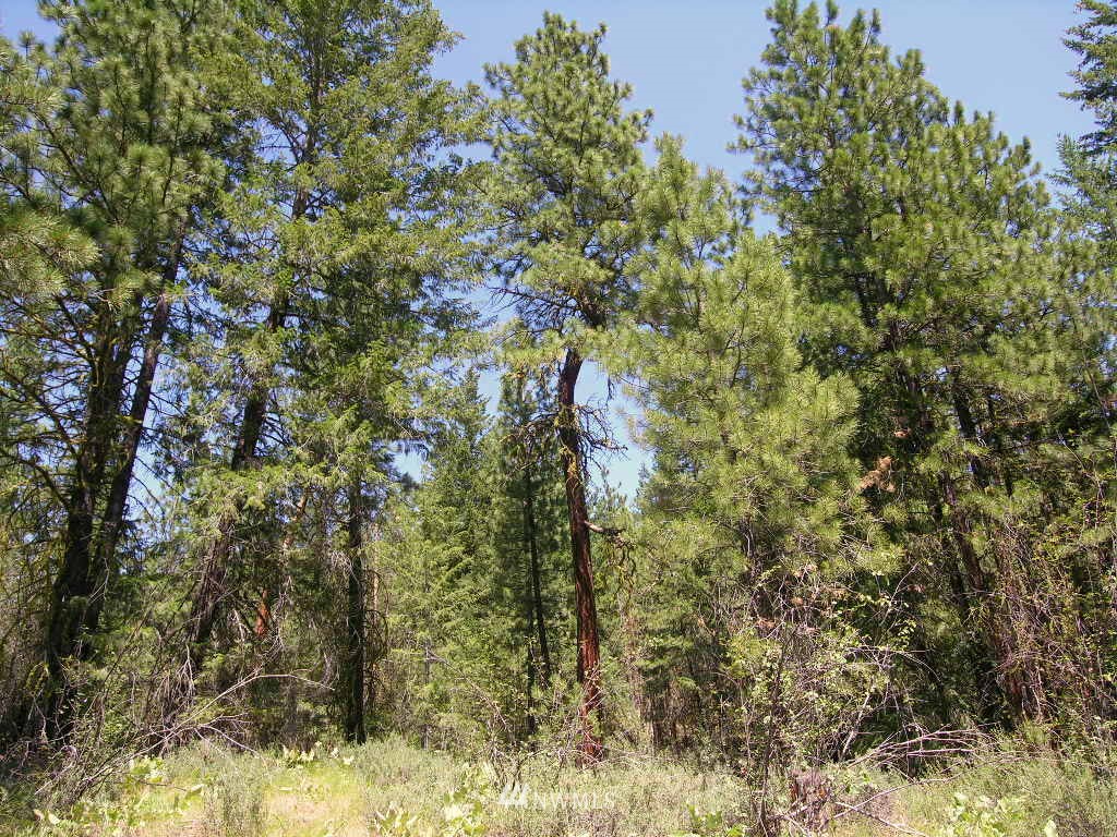 15 Homestead Road Winthrop, WA 98862 - Photo 4 of 12