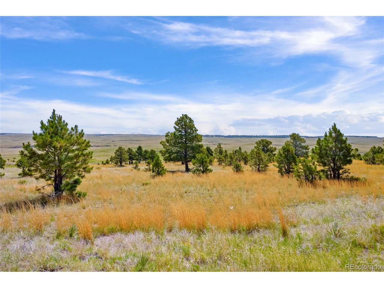77 County Road Calhan, CO 80808 - Photo 14 of 27 Gallery Image 14