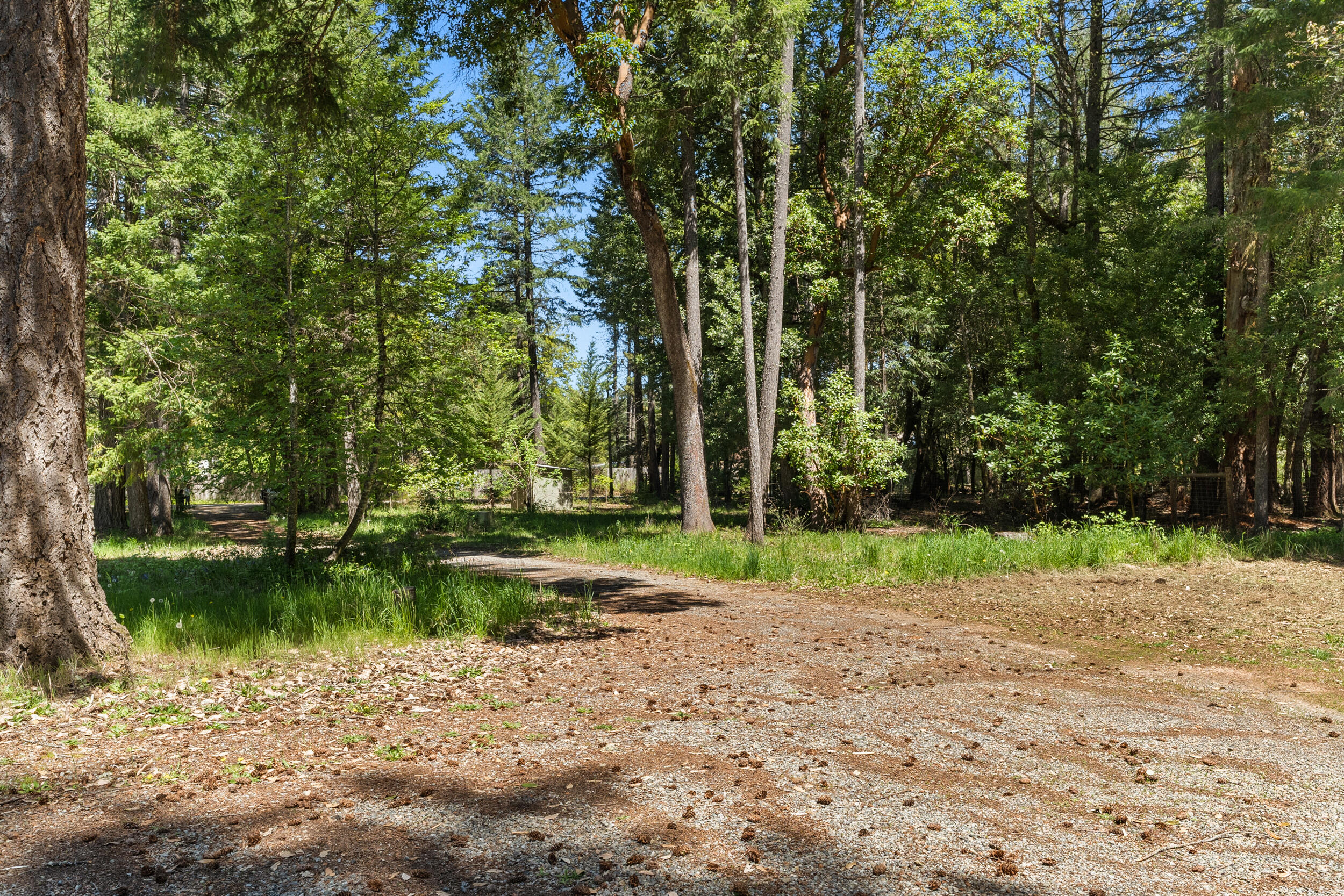 543 Pinewood Way Cave Junction, OR 97523 - Photo 19 of 27 543 pinewood way - 25