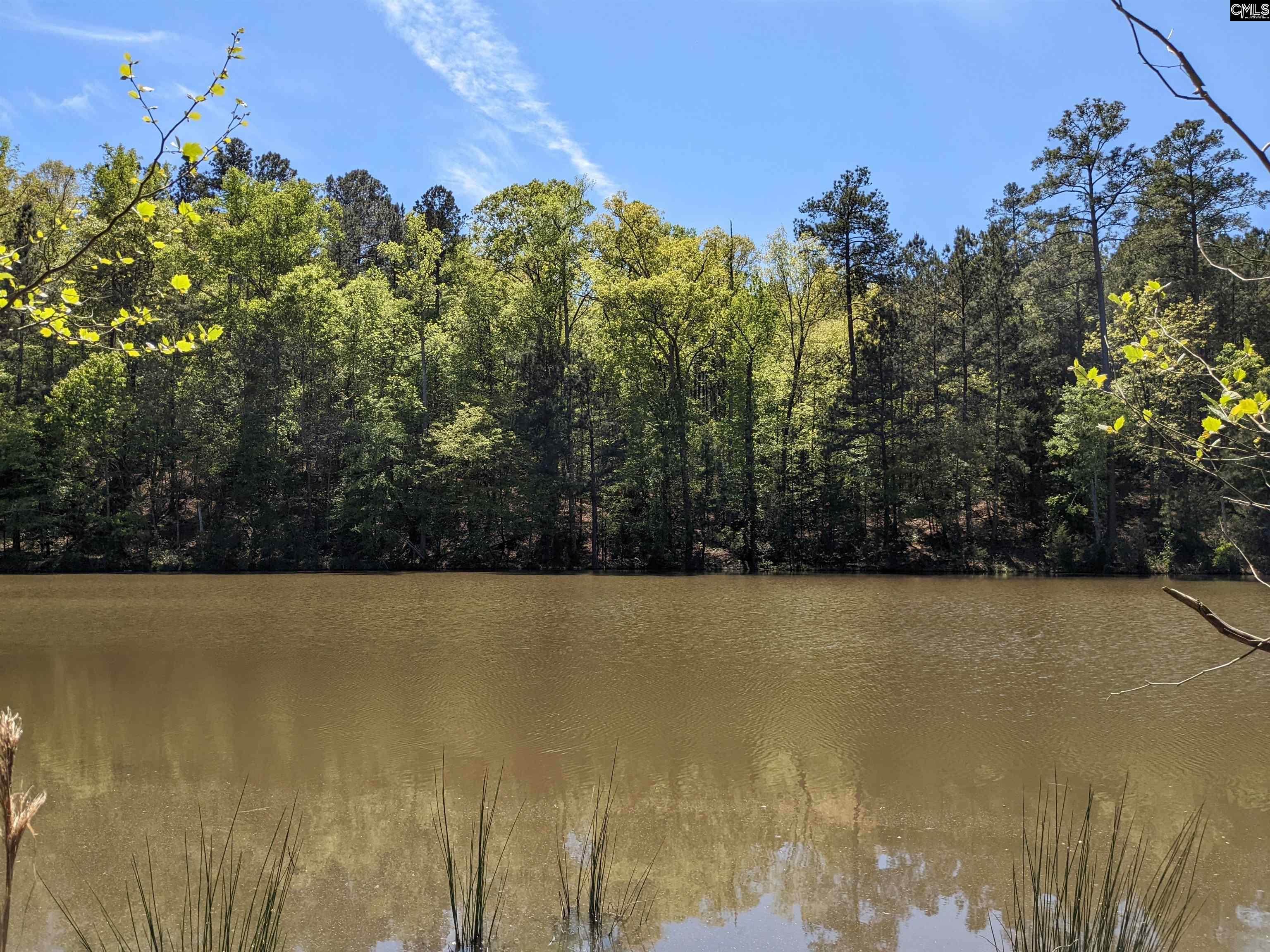 Old Hillcrest School Road Winnsboro, SC 29180 - Photo 29 of 95