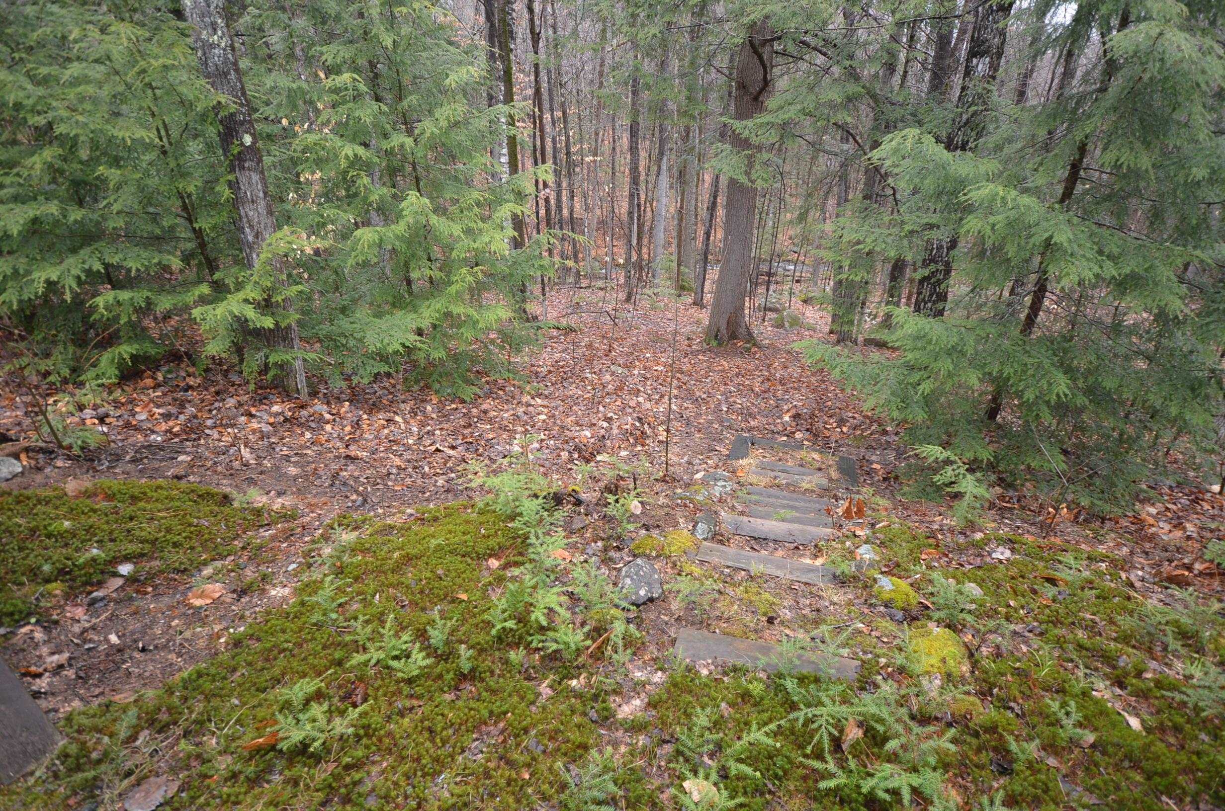 3 Damson Lane Gilford, NH 03249 - Photo 50 of 55