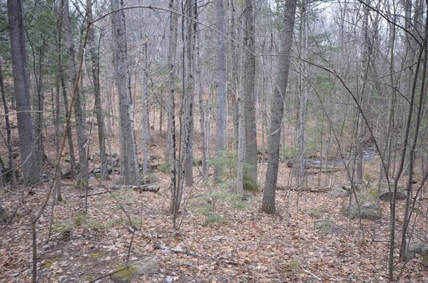 $536,000 | 3 Damson Lane, Gilford, NH 03249