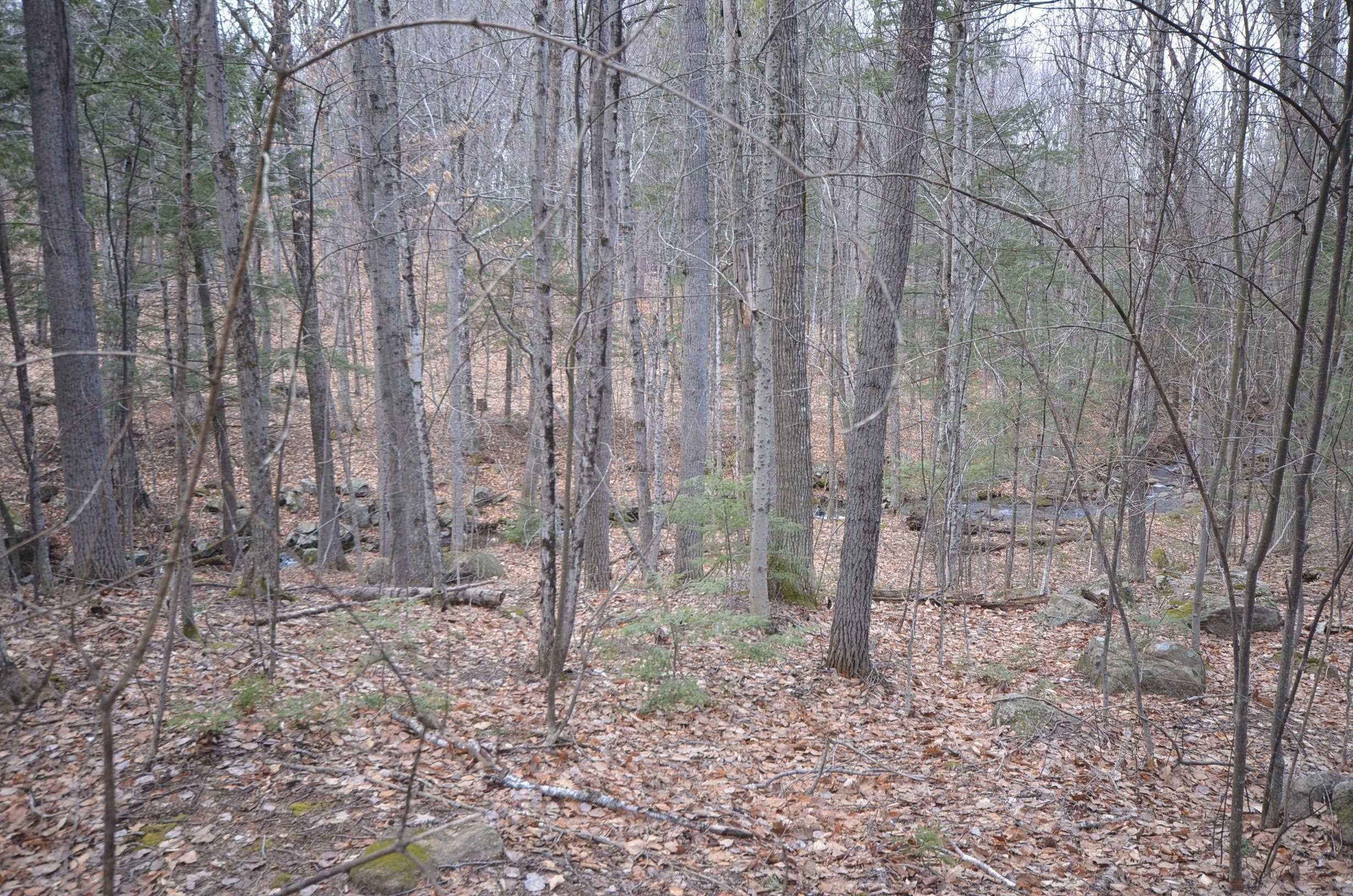 3 Damson Lane Gilford, NH 03249 - Photo 7 of 55