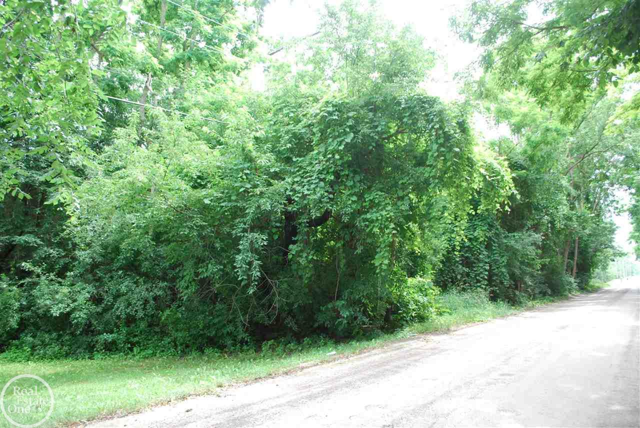 0 Powell Road Washington, MI 48095 - Photo 2 of 9