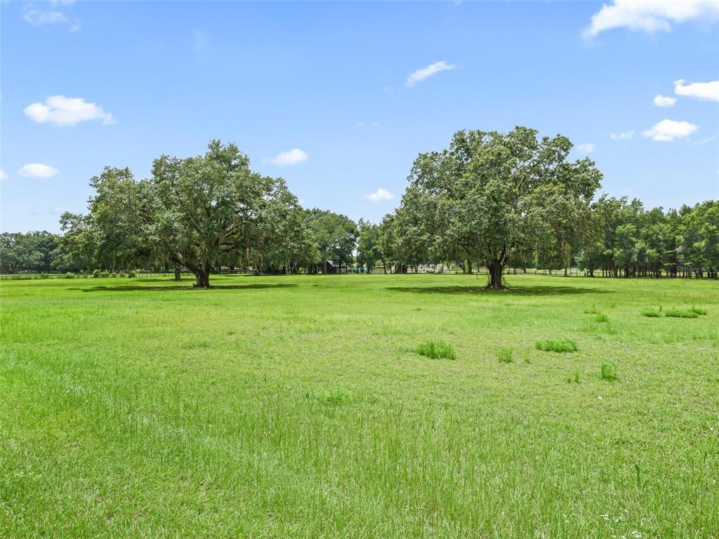 1500 Northwest 155th Street Citra, FL 32113 - Photo 39 of 43 a view of a green field with clear sky
