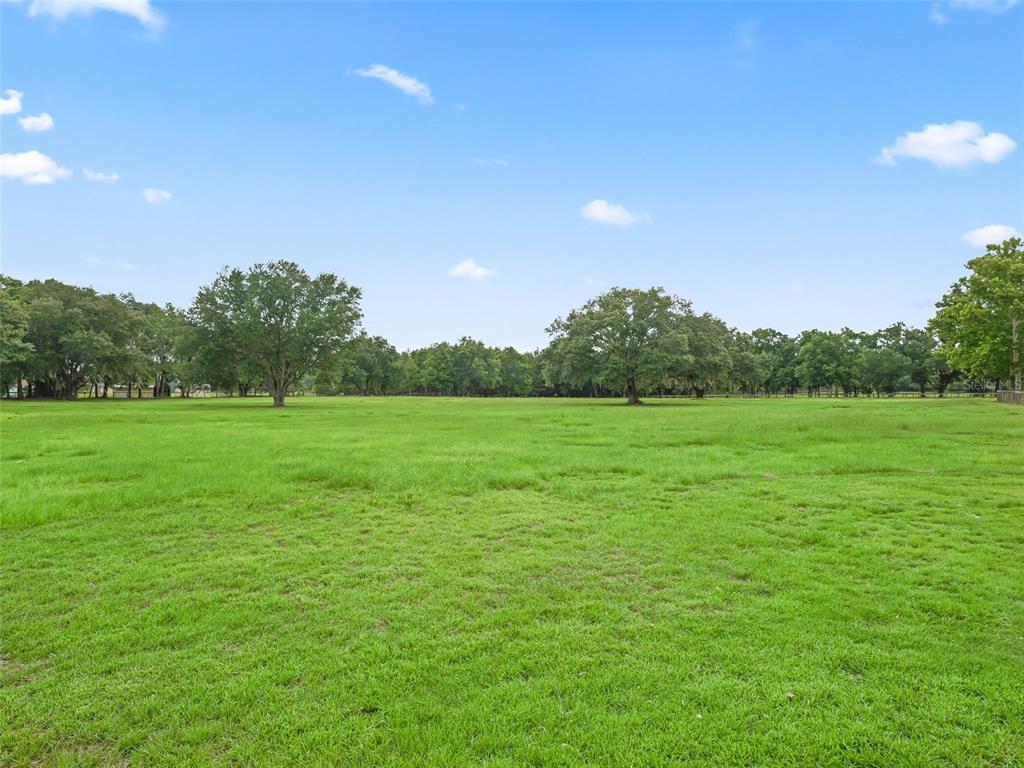 1500 Northwest 155th Street Citra, FL 32113 - Photo 40 of 43 a view of a green field