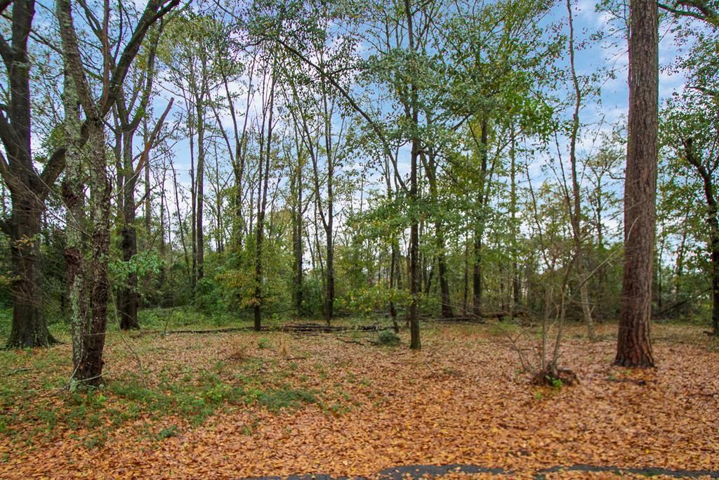 Lot 1 Longmeadow Road Aiken, SC 29803 - Photo 1 of 5