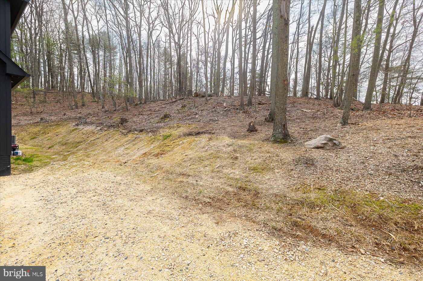 448 Castleton View Road Castleton, VA 22716 - Photo 8 of 50 Woods in the Back of Property