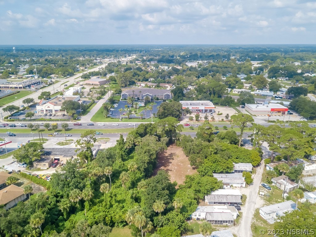 1711 South Ridgewood Avenue Edgewater, FL 32132 - Photo 6 of 9 an aerial view of residential building and lake view