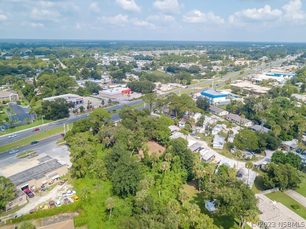 1711 South Ridgewood Avenue Edgewater, FL 32132 - Photo 7 of 9 an aerial view of residential houses with outdoor space and trees