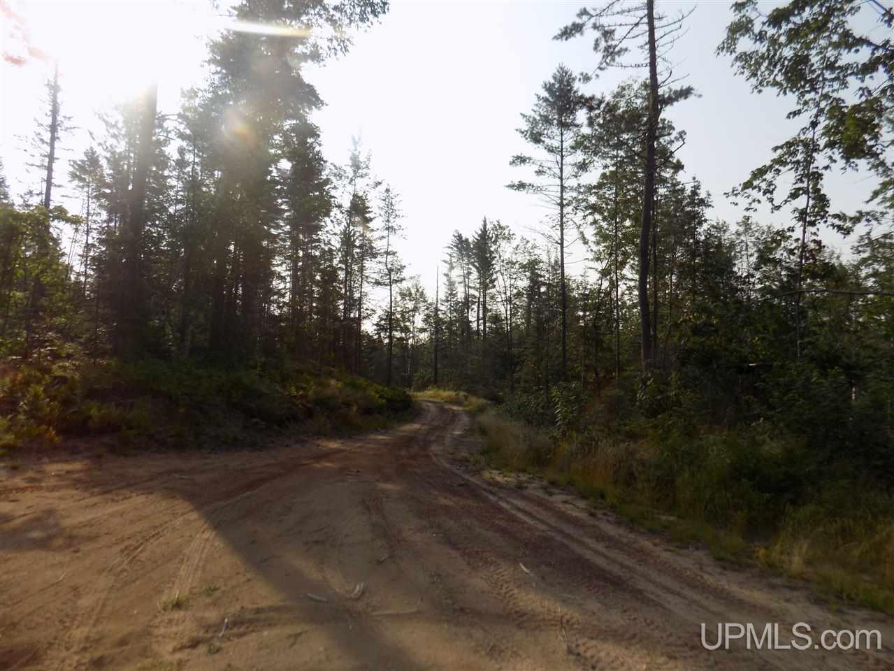 Off Off Co Road Ishpeming, MI 49849 - Photo 11 of 18