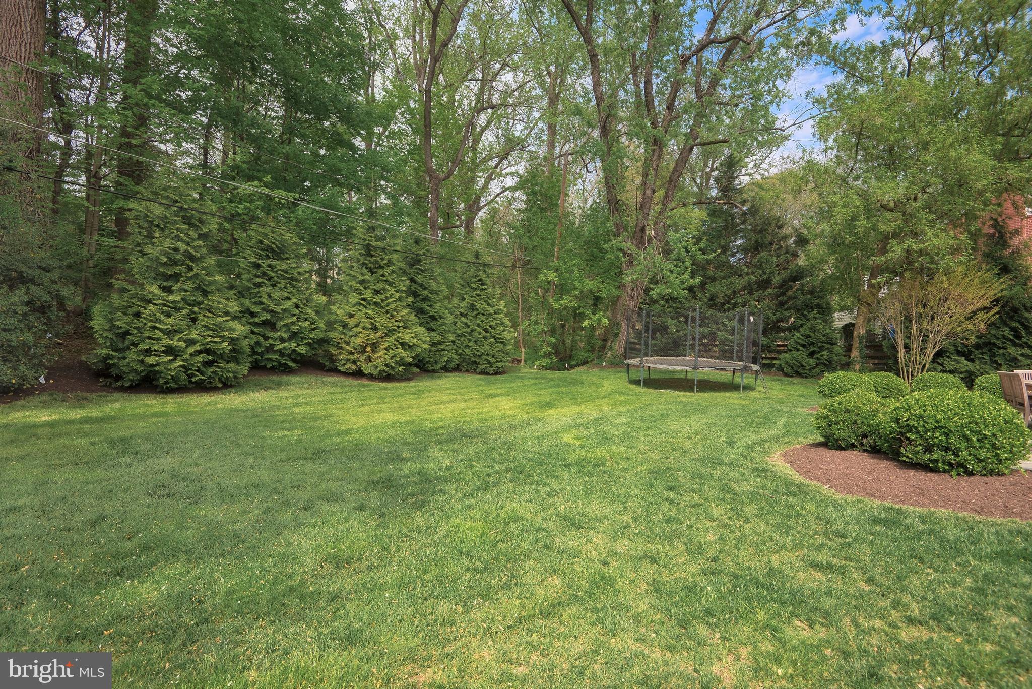 17 Buchanan Road Baltimore, MD 21212 - Photo 45 of 51 LARGE FLAT YARD