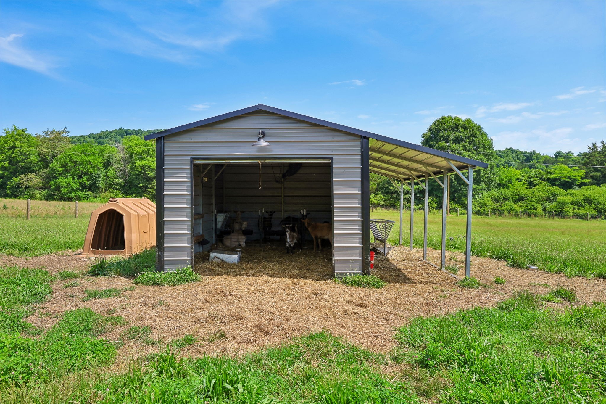1040 Tate Road Petersburg, TN 37144 - Photo 87 of 99