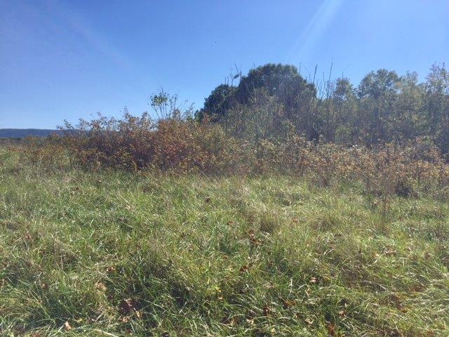 a view of a field