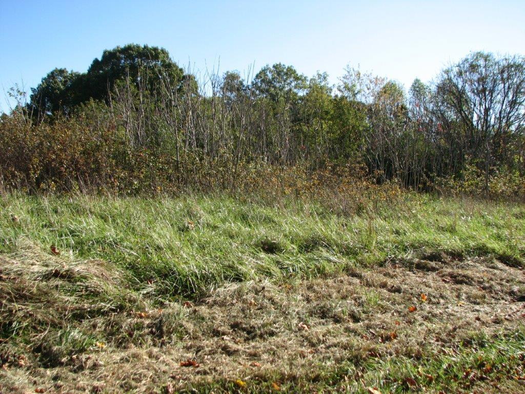 Lot 1 Marcus Road Rocky Mount, VA 24151 - Photo 5 of 7 a view of a lush green forest with large trees