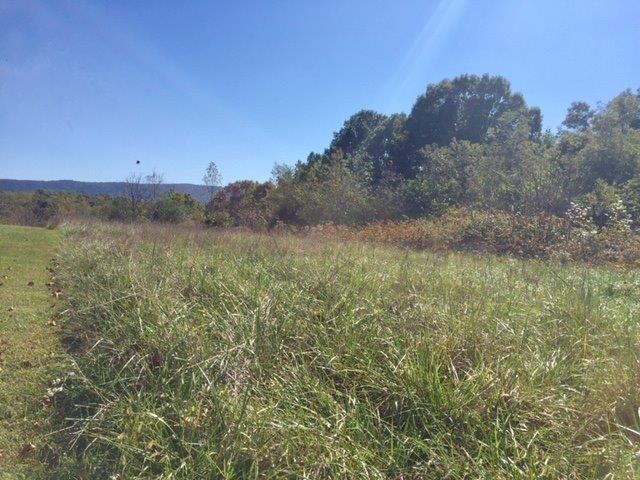 Lot 1 Marcus Road Rocky Mount, VA 24151 - Photo 6 of 7 a view of a field of grass and trees