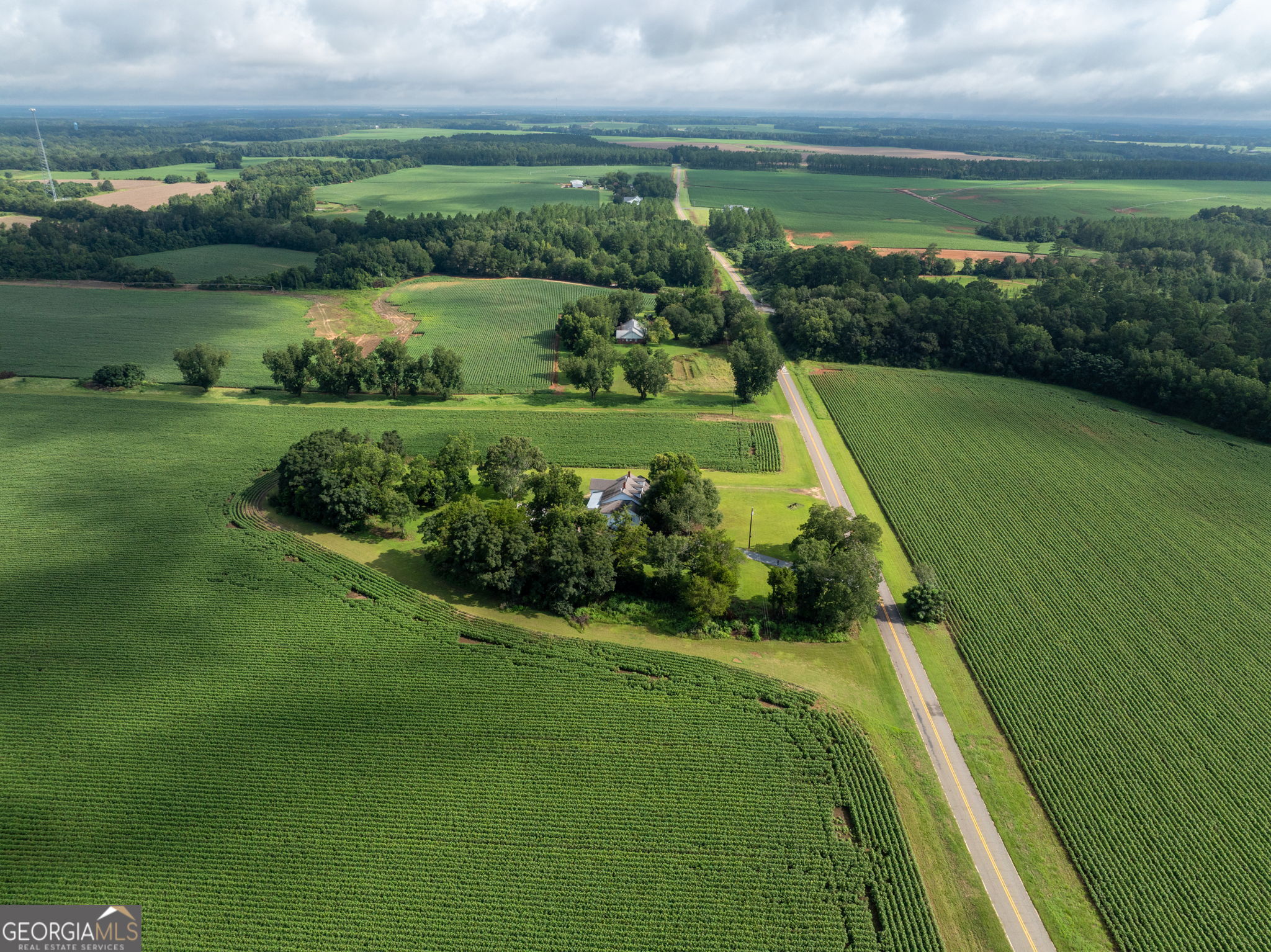 7890 Poplar Springs Road Byromville, GA 31007 - Photo 42 of 74 a view of a city