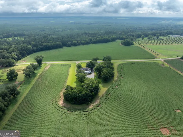 a view of a golf course with a garden