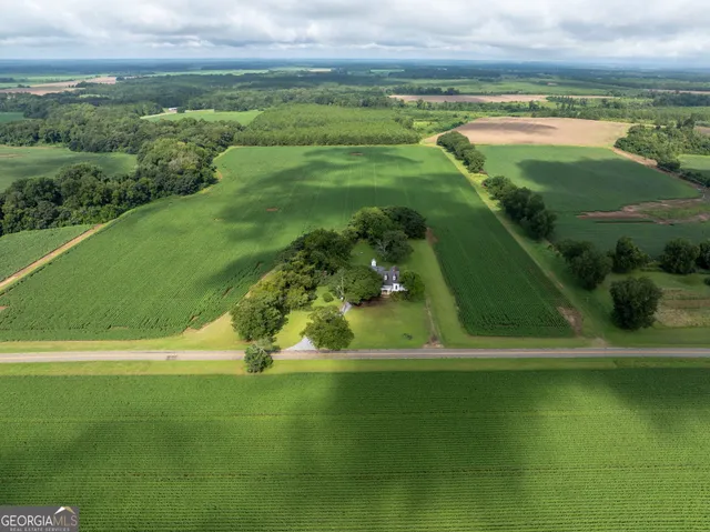 a view of a garden with a lake