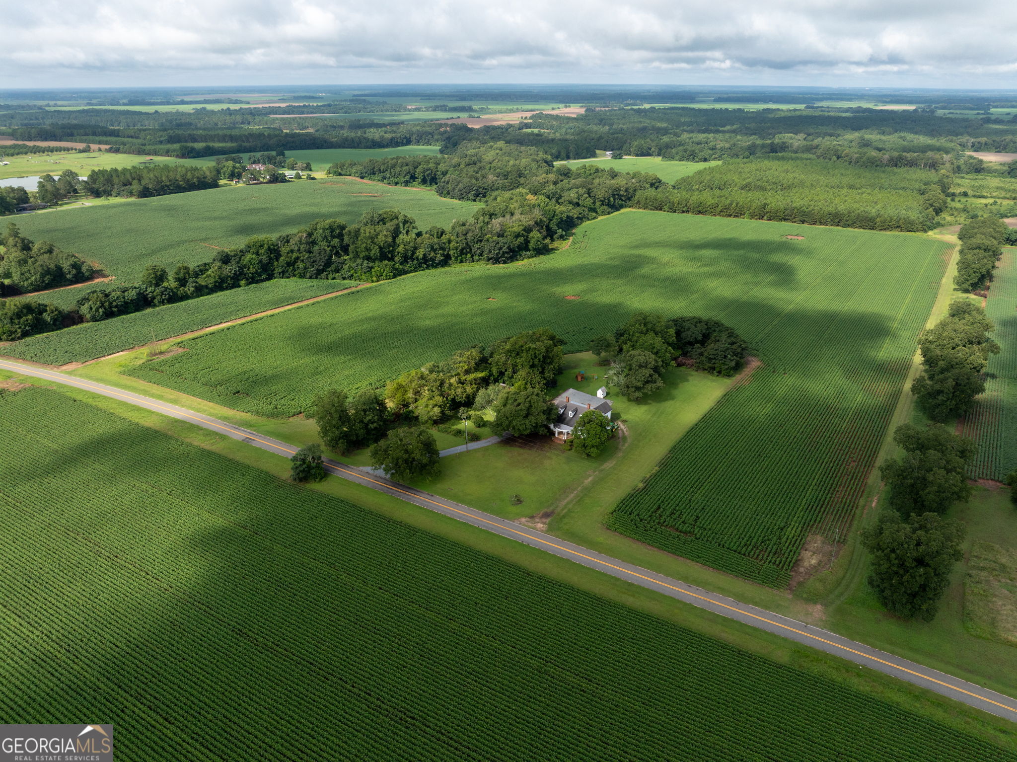 7890 Poplar Springs Road Byromville, GA 31007 - Photo 46 of 74