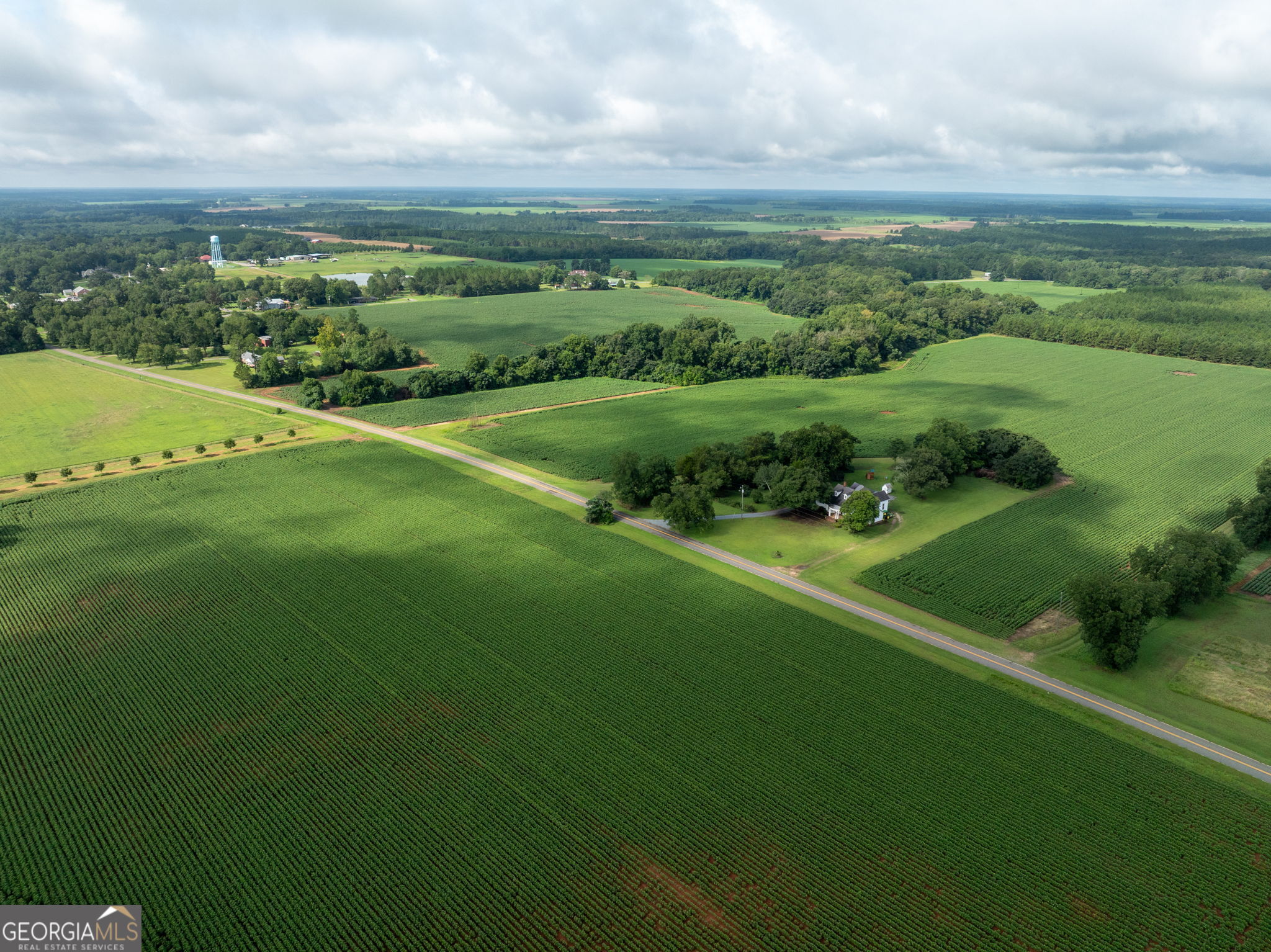 7890 Poplar Springs Road Byromville, GA 31007 - Photo 47 of 74 a view of a green field with clear sky