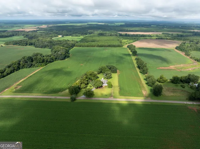 a view of a garden with a lake