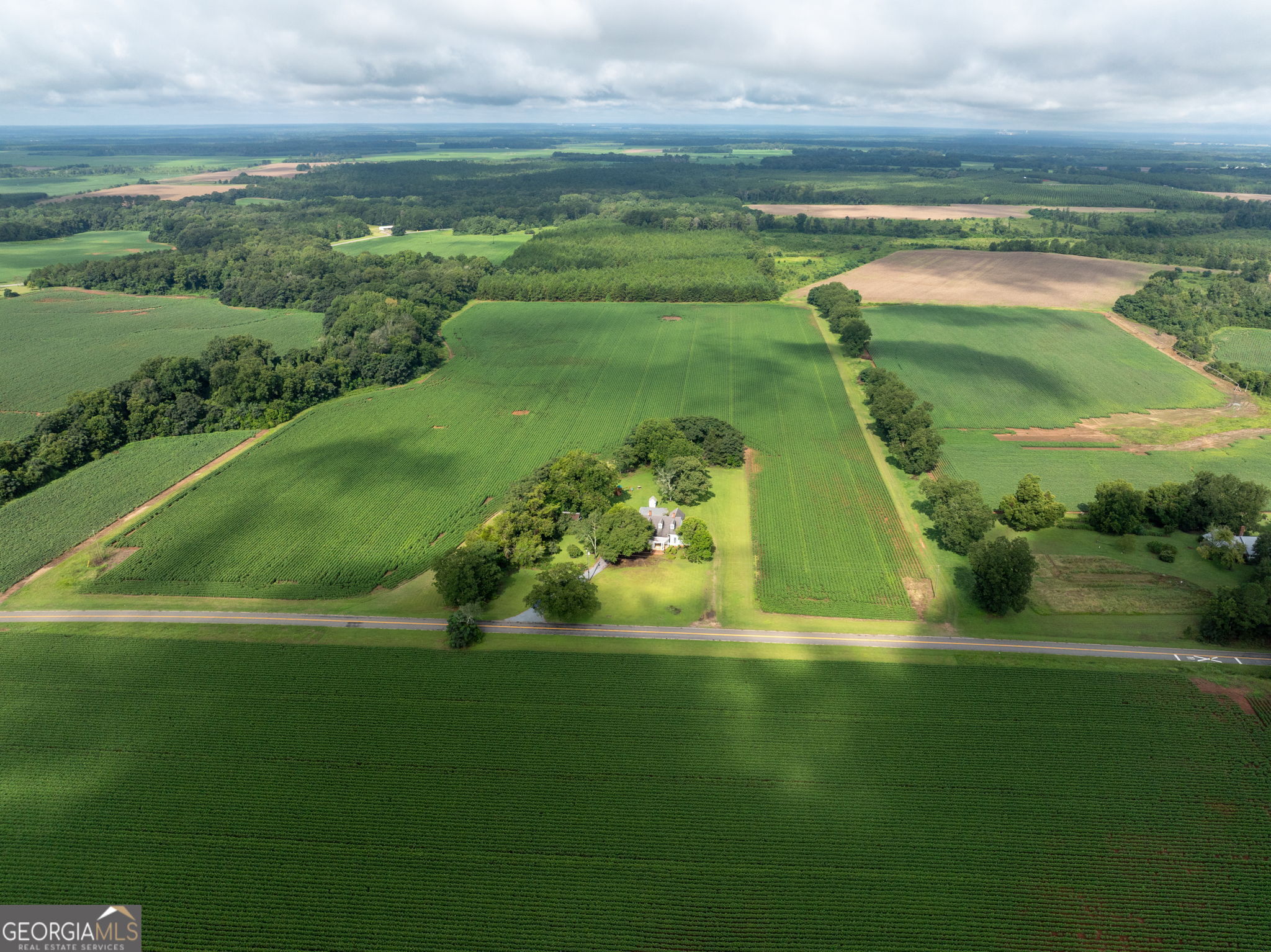 7890 Poplar Springs Road Byromville, GA 31007 - Photo 50 of 74 a view of a lake