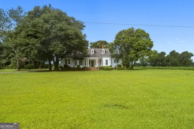 a view of an trees in a yard