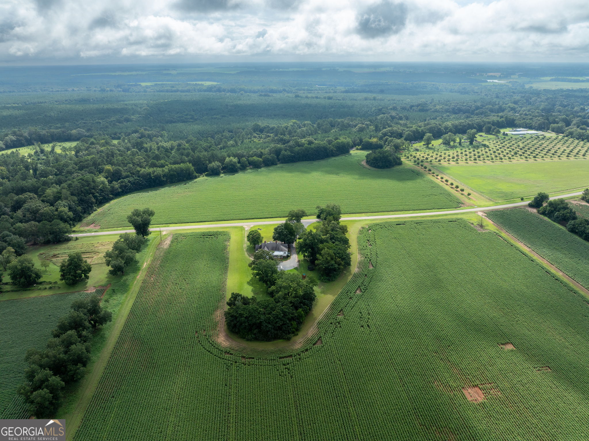 7890 Poplar Springs Road Byromville, GA 31007 - Photo 55 of 74