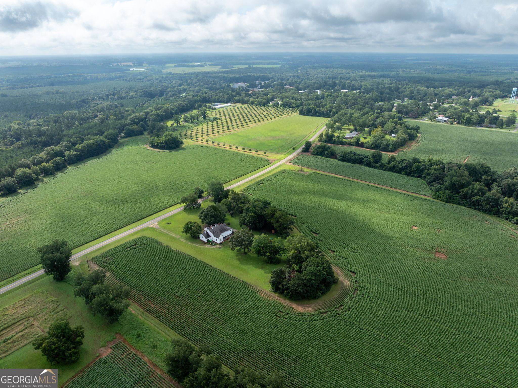 7890 Poplar Springs Road Byromville, GA 31007 - Photo 56 of 74 an aerial view of a golf course with a lake view