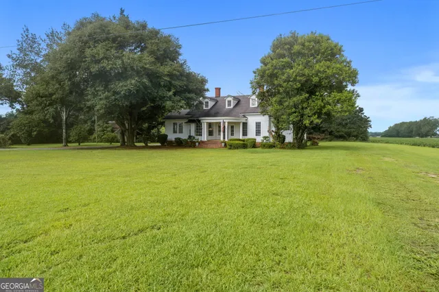 a view of a park with large trees