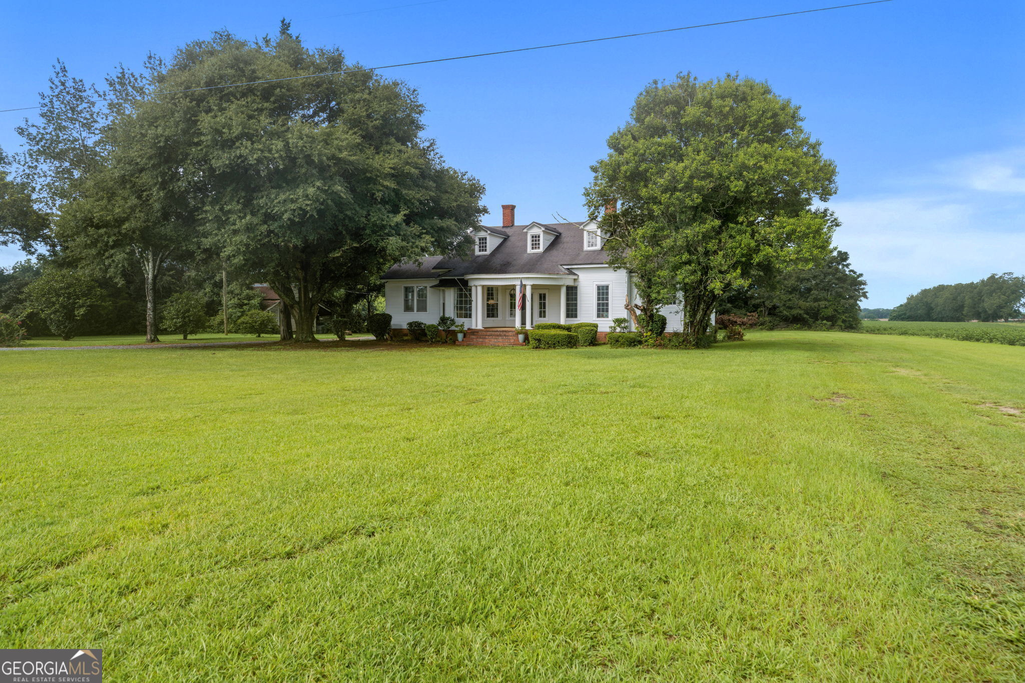 7890 Poplar Springs Road Byromville, GA 31007 - Photo 6 of 74