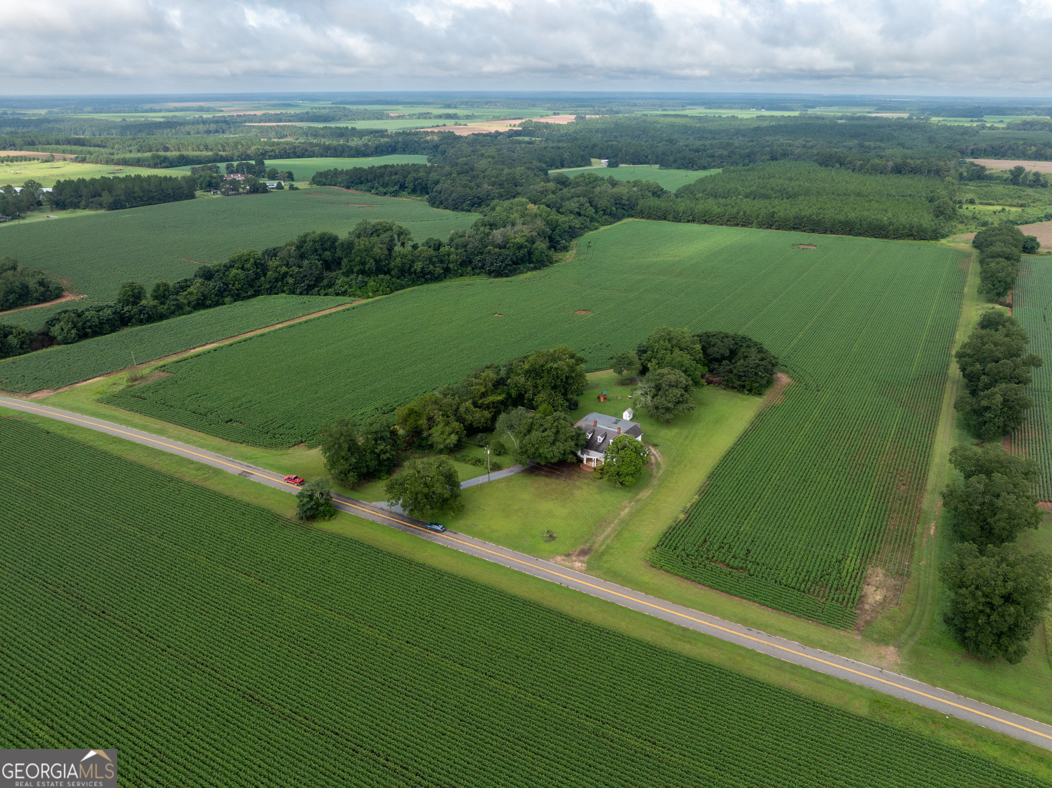 7890 Poplar Springs Road Byromville, GA 31007 - Photo 63 of 74 a view of a lake with a yard