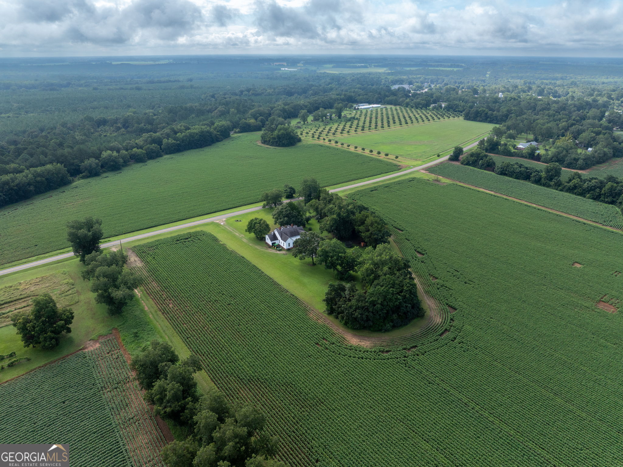 7890 Poplar Springs Road Byromville, GA 31007 - Photo 65 of 74 a view of a golf course with a garden