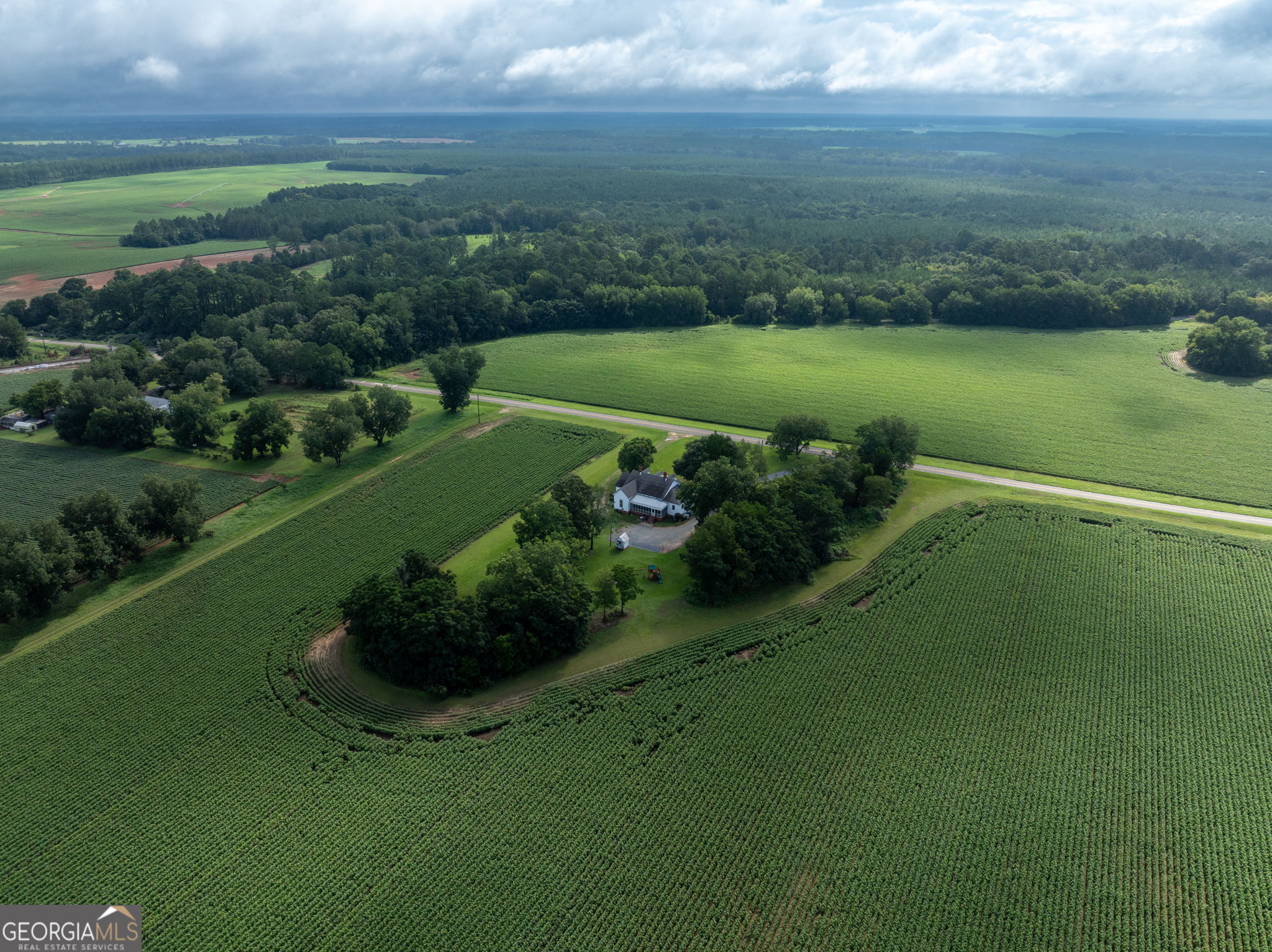 7890 Poplar Springs Road Byromville, GA 31007 - Photo 67 of 74 a view of a garden with a lake