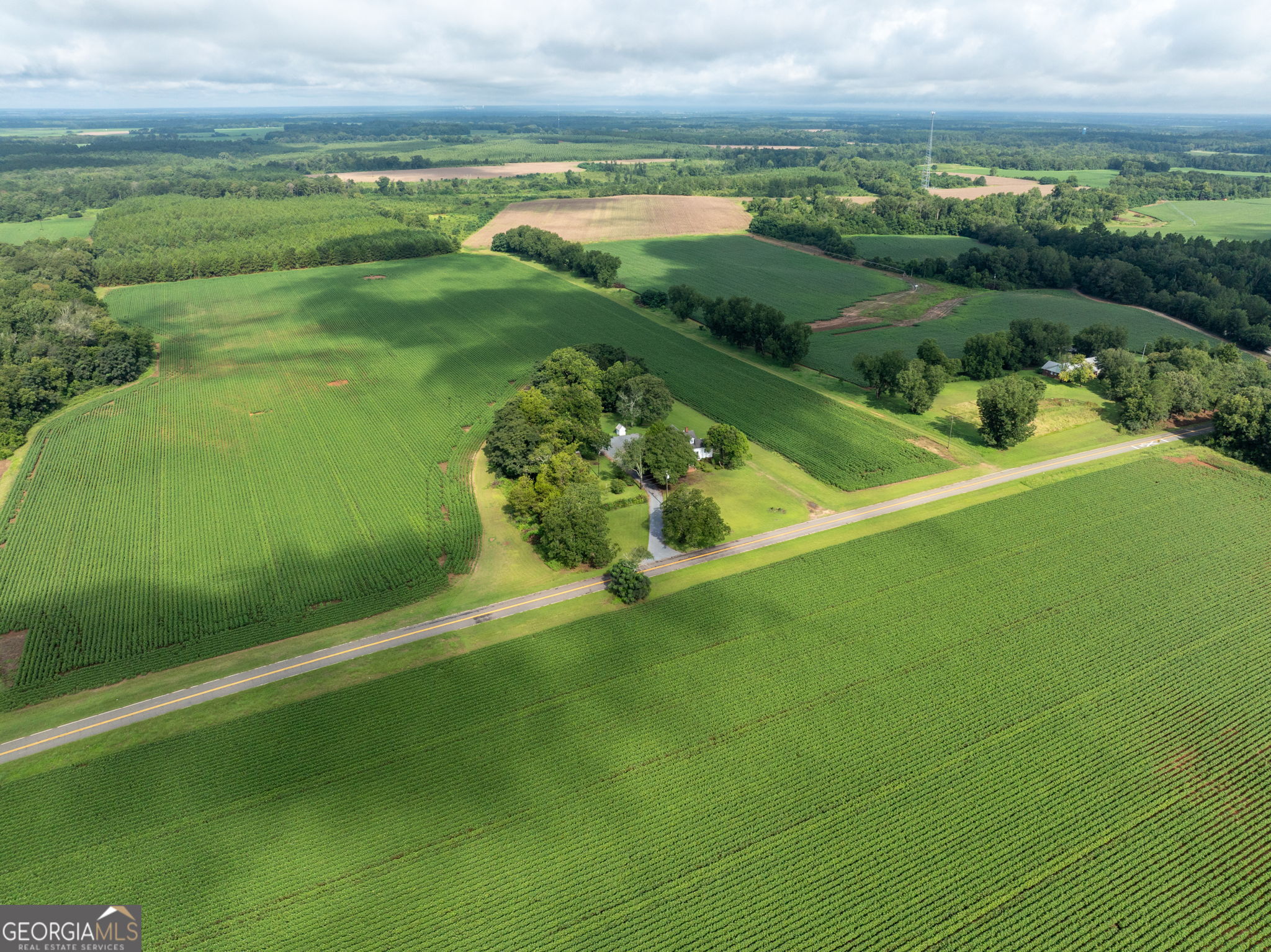 7890 Poplar Springs Road Byromville, GA 31007 - Photo 68 of 74 a view of a golf course with a lake