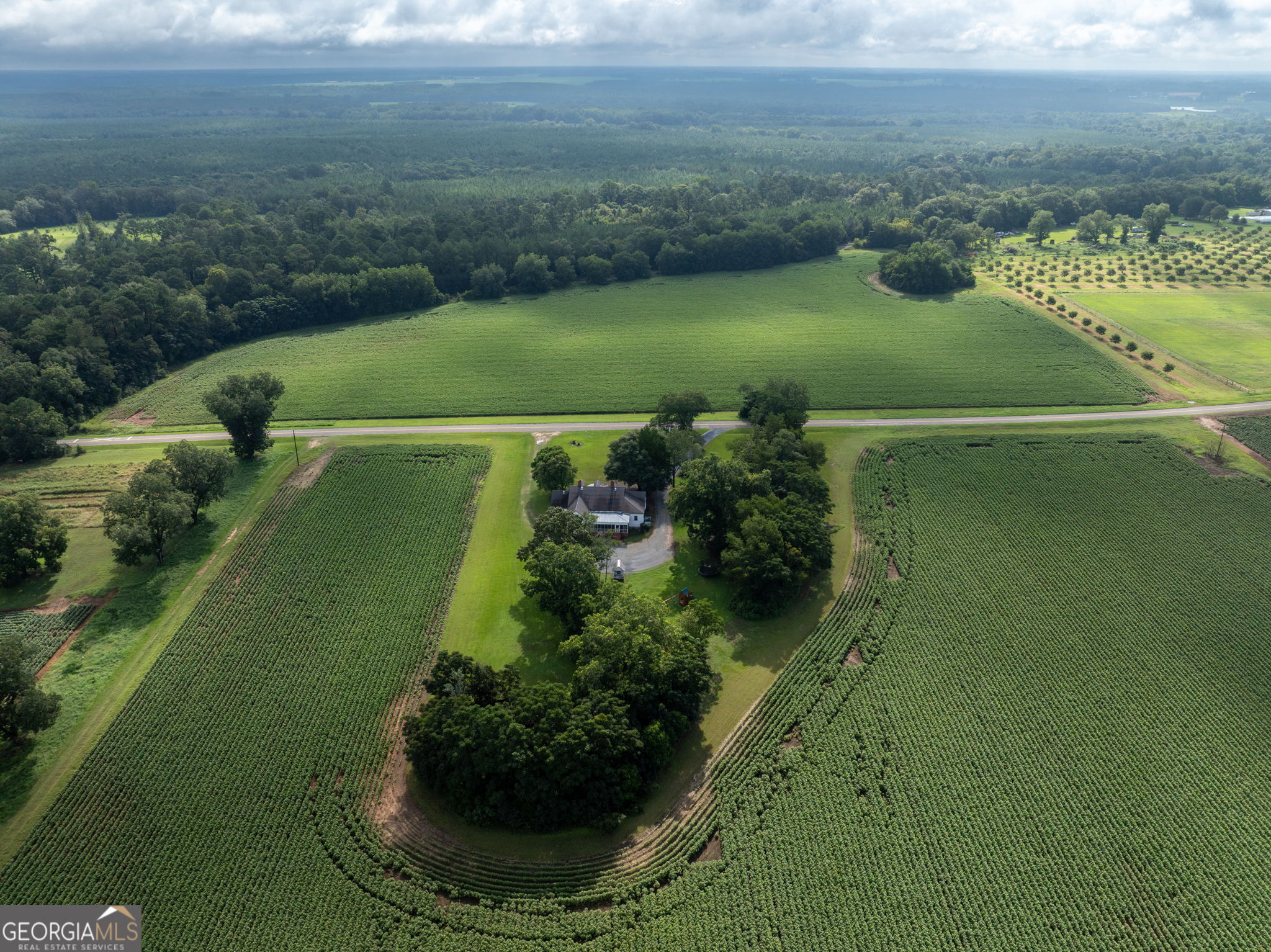 7890 Poplar Springs Road Byromville, GA 31007 - Photo 70 of 74 a view of a lake with a yard