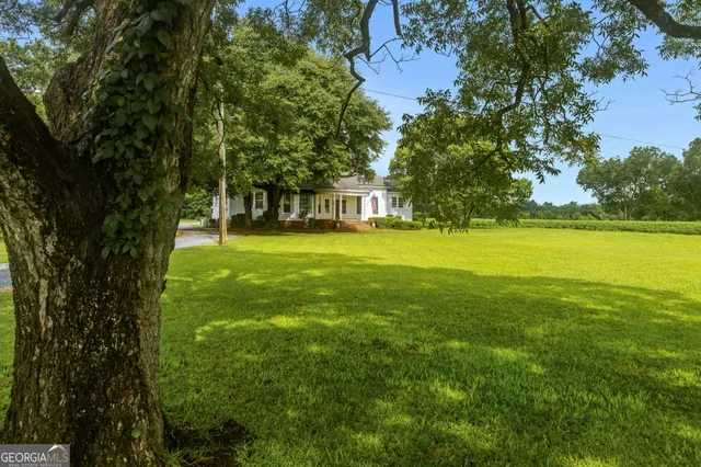 a view of a trees in front of a big yard