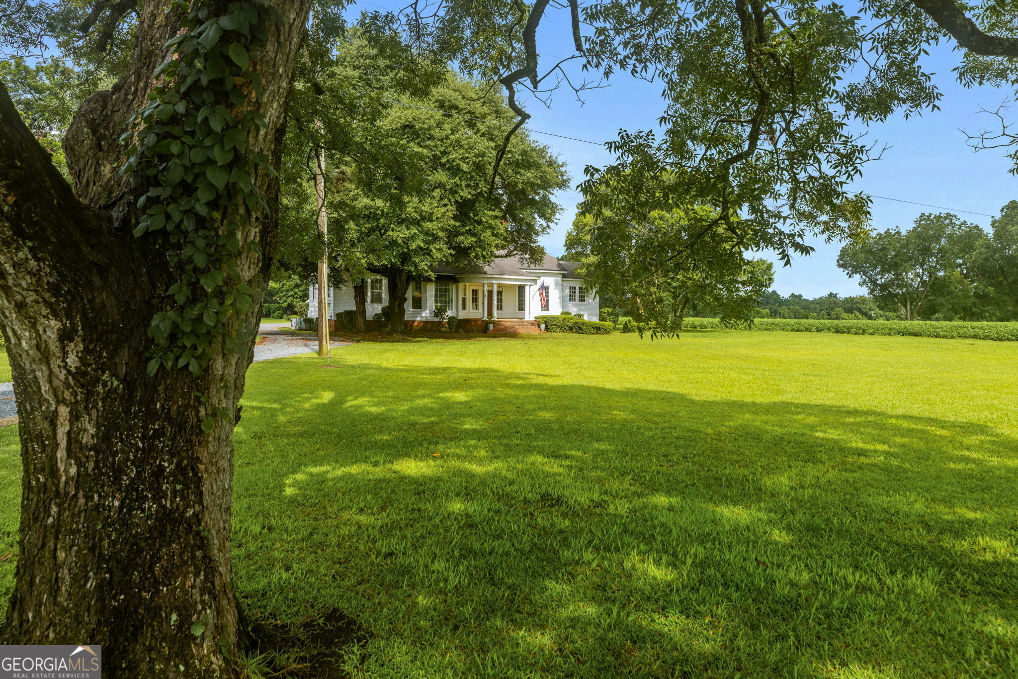 7890 Poplar Springs Road Byromville, GA 31007 - Photo 7 of 74 a view of an trees in a yard