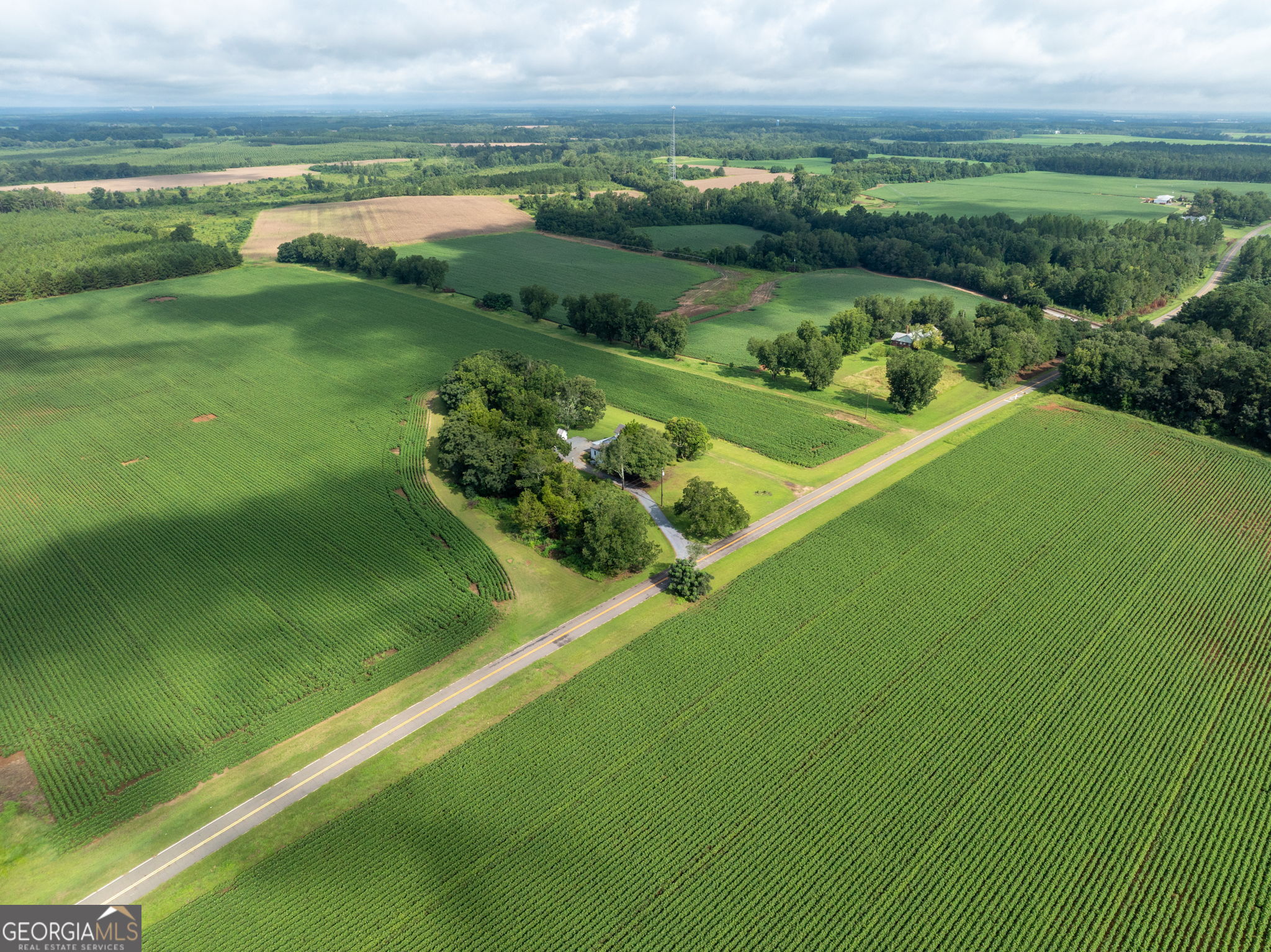 7890 Poplar Springs Road Byromville, GA 31007 - Photo 74 of 74 a view of a garden with a lake