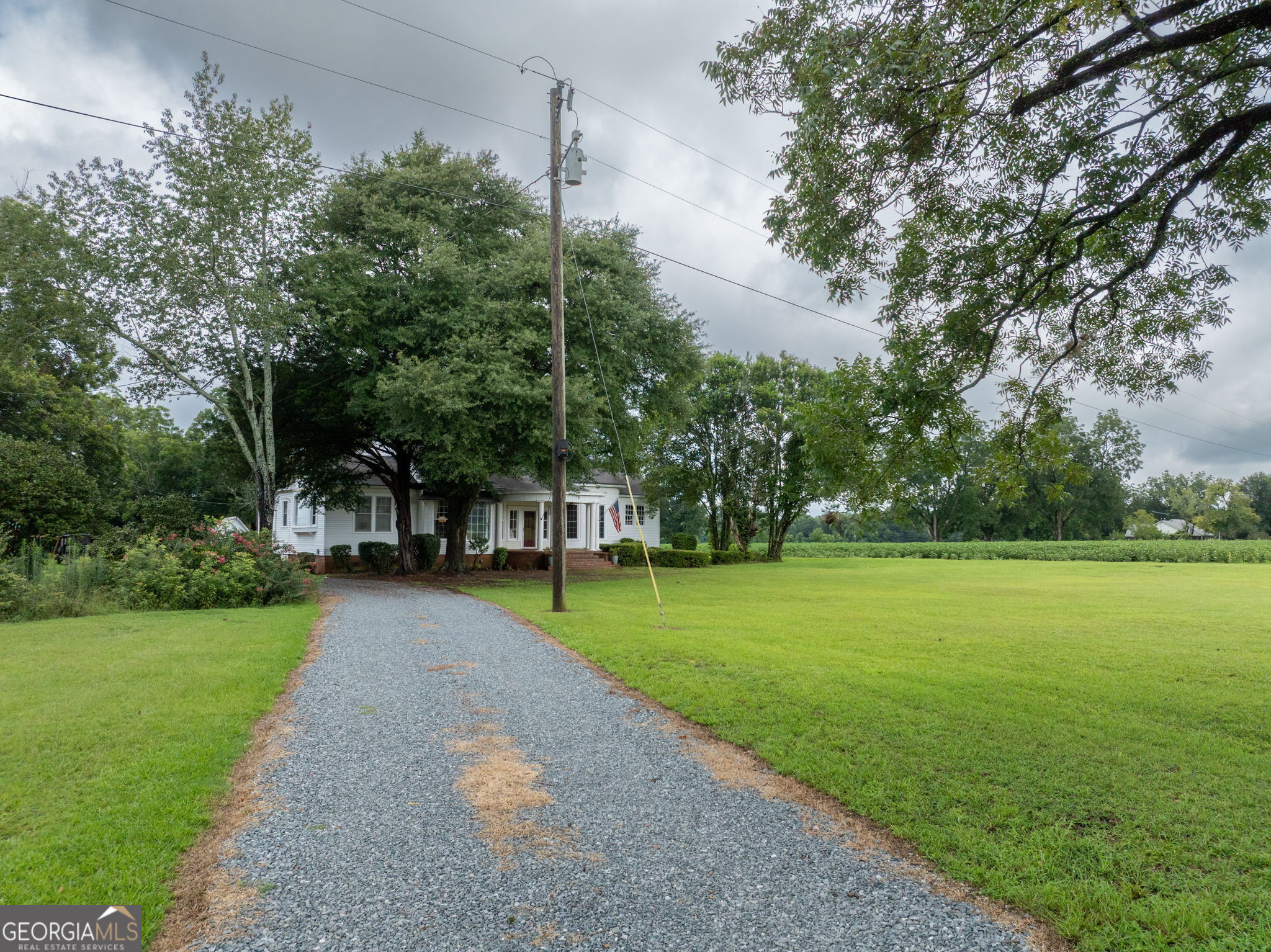 7890 Poplar Springs Road Byromville, GA 31007 - Photo 8 of 74 a view of a park with large trees