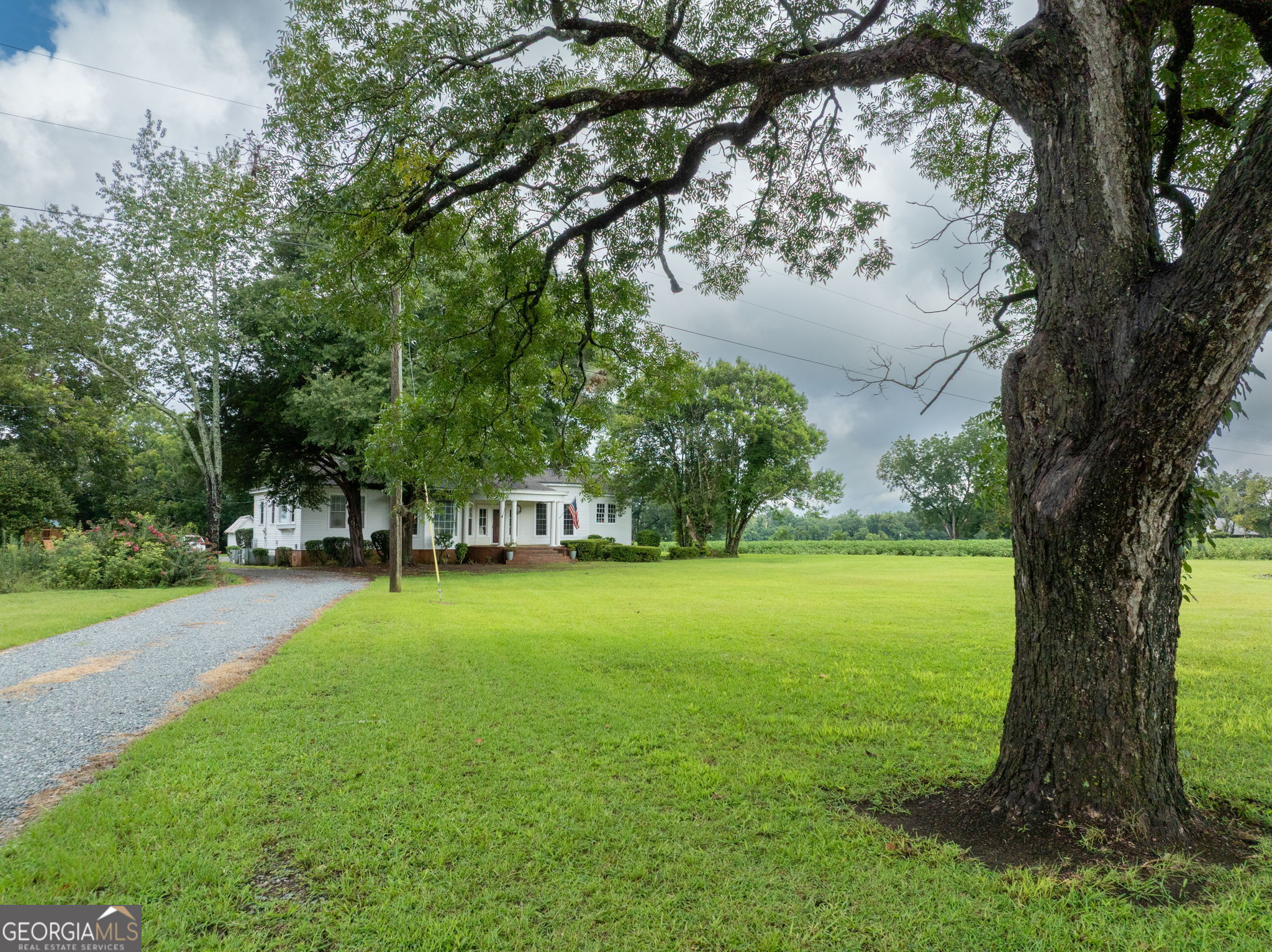 7890 Poplar Springs Road Byromville, GA 31007 - Photo 9 of 74 a view of a trees in front of a big yard