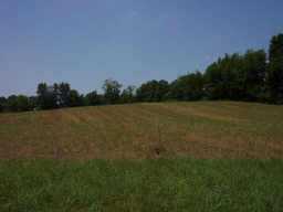 0 Twp Road Northwest Somerset, OH 43783 - Photo 4 of 5