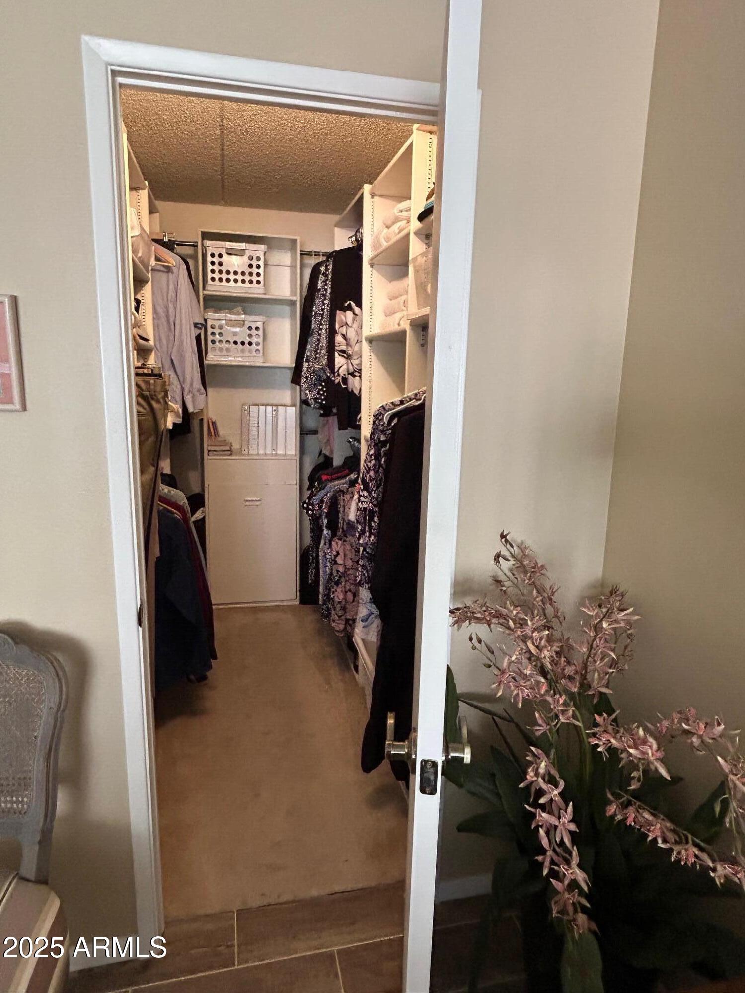 7960 East Camelback Road, Unit 109 Scottsdale, AZ 85251 - Photo 25 of 46 Primary Bedroom Closet