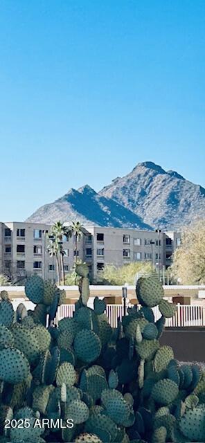 7960 East Camelback Road, Unit 109 Scottsdale, AZ 85251 - Photo 34 of 46 IMG_1554